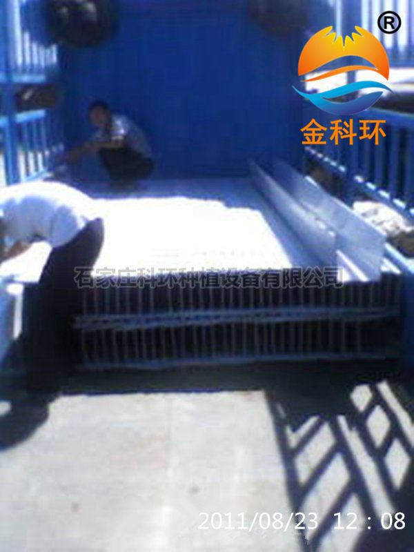 丝瓜视频色版APP免费下载5