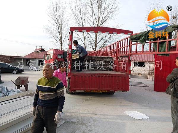 丝瓜视频色版APP免费下载6