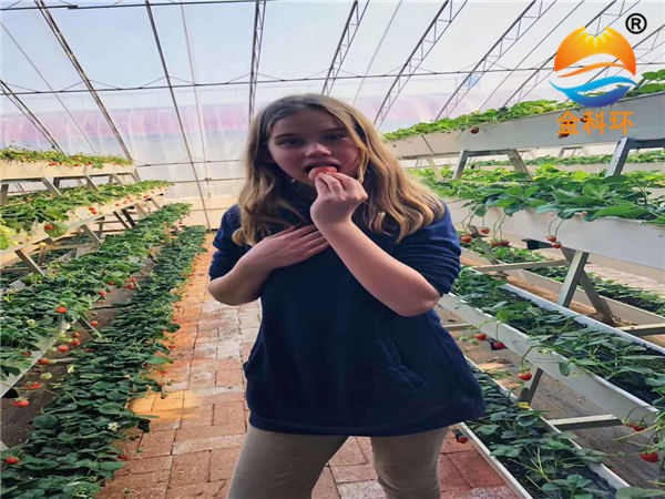 草莓丝瓜视频污在线免费看  辽宁客户实拍案列