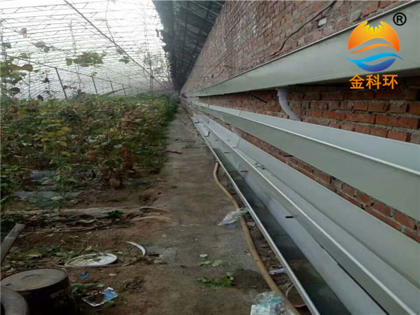 后墙丝瓜视频污污污色版下载