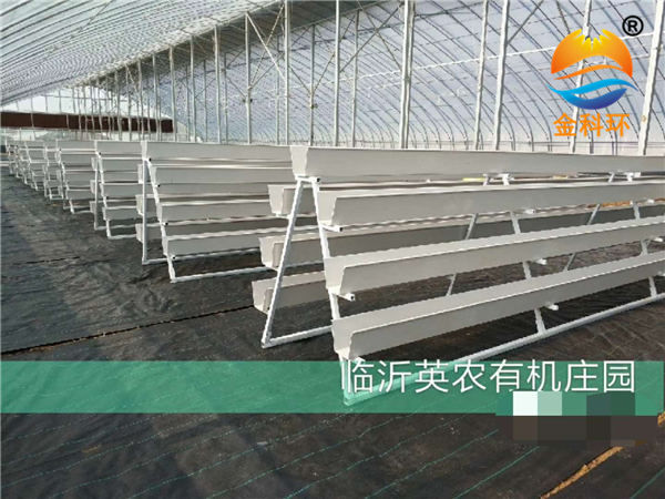 草莓丝瓜视频污污污色版下载25