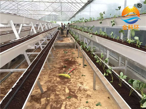 草莓丝瓜视频污污污色版下载38
