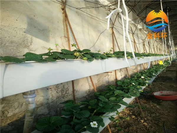 后墙丝瓜视频污污污色版下载