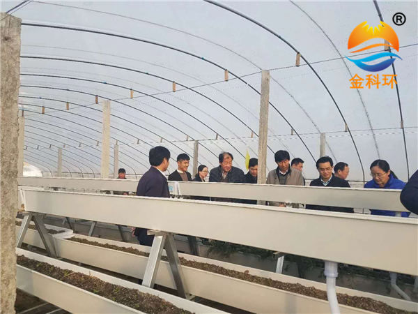 草莓丝瓜视频污污污色版下载39