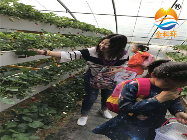 草莓丝瓜视频污污污色版下载26