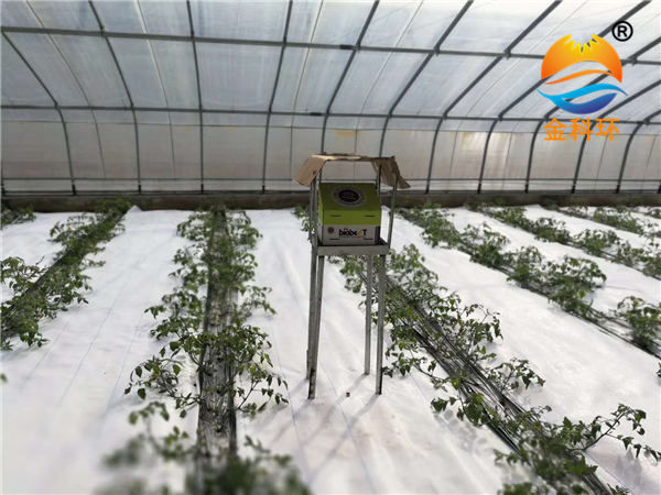 番茄丝瓜视频污污污色版下载15