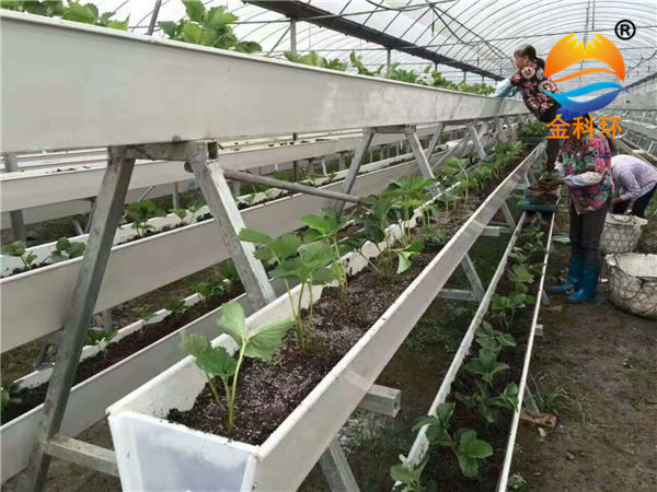 草莓丝瓜视频污污污色版下载34