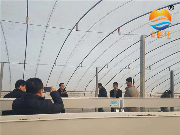 草莓丝瓜视频污污污色版下载16