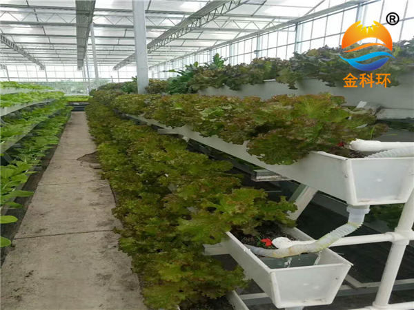 石家庄丝瓜视频污片软件下载种植设备有限公司14
