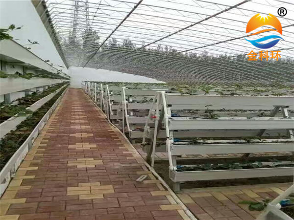 后墙丝瓜视频污污污色版下载3