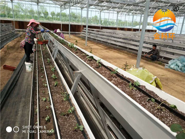 草莓丝瓜视频污污污色版下载9