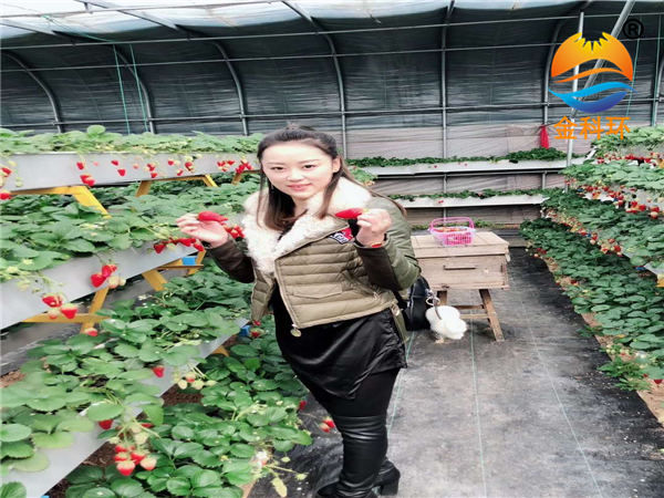 草莓立体丝瓜视频污污污色版下载