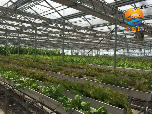 蔬菜丝瓜视频污污污色版下载2