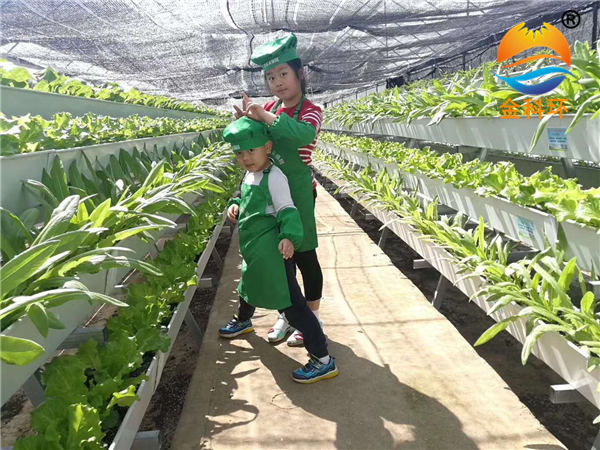 蔬菜丝瓜视频污污污色版下载 (18)