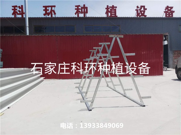 丝瓜视频污在线免费看架