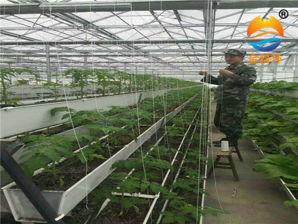 西红柿丝瓜视频污污污色版下载
