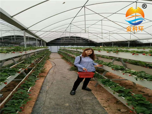 草莓丝瓜视频污污污色版下载19