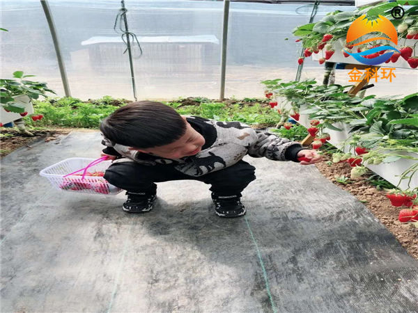 草莓丝瓜视频污污污色版下载6