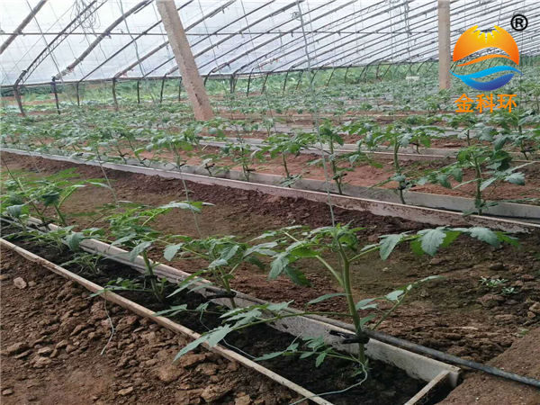 番茄丝瓜视频污污污色版下载14