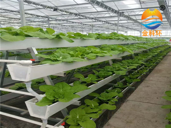蔬菜丝瓜视频污污污色版下载4