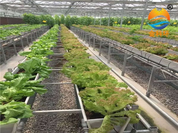 蔬菜丝瓜视频污污污色版下载24