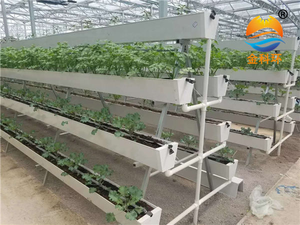 蔬菜丝瓜视频污污污色版下载 (21)