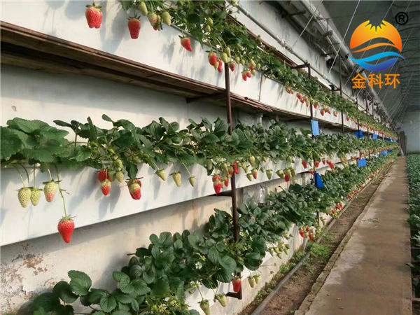 后墙丝瓜视频污污污色版下载8